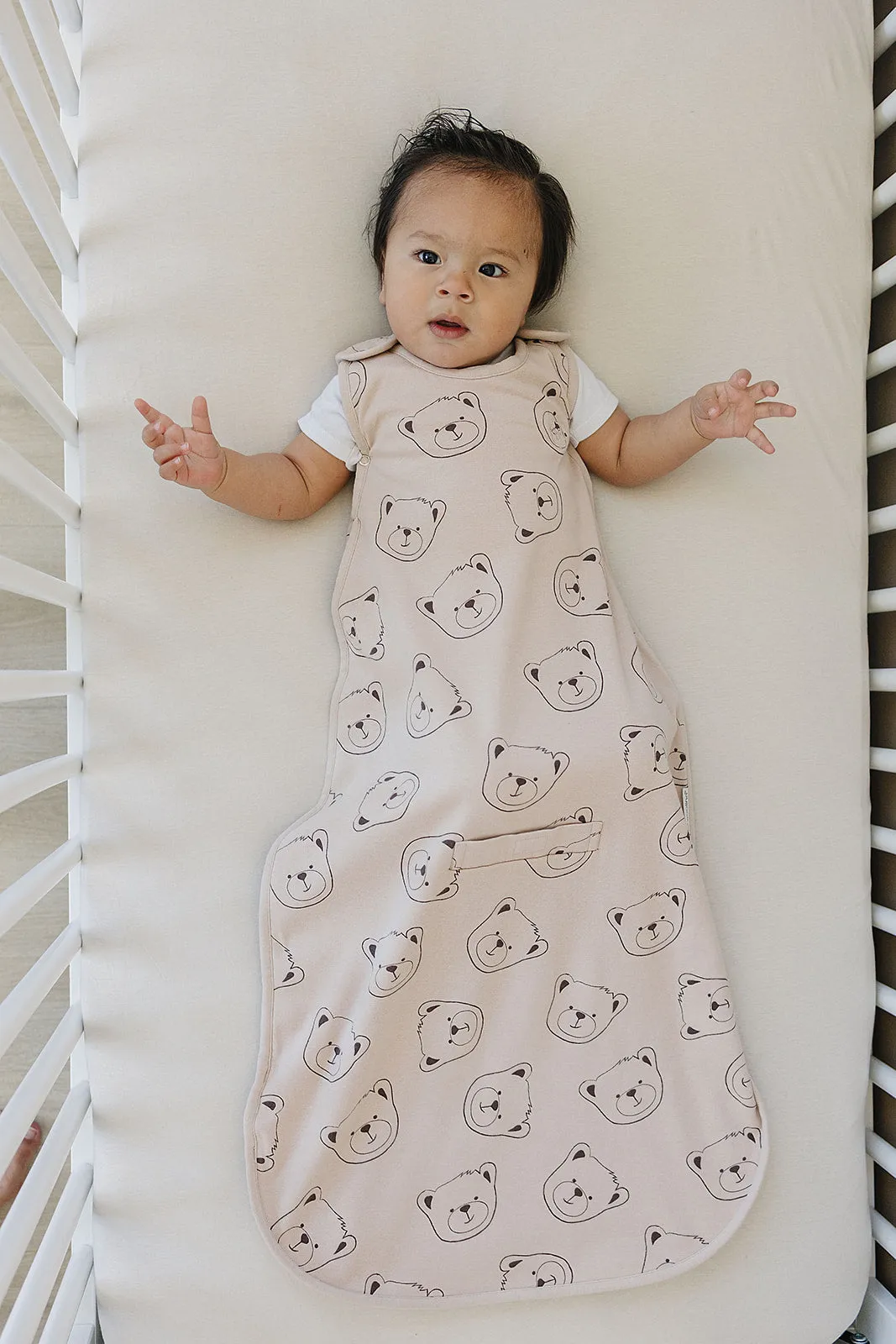 4 Season Ultimate Baby Sleep Bag, Merino Wool & Organic Cotton, 2 Months - 2 Years, Teddy Bear