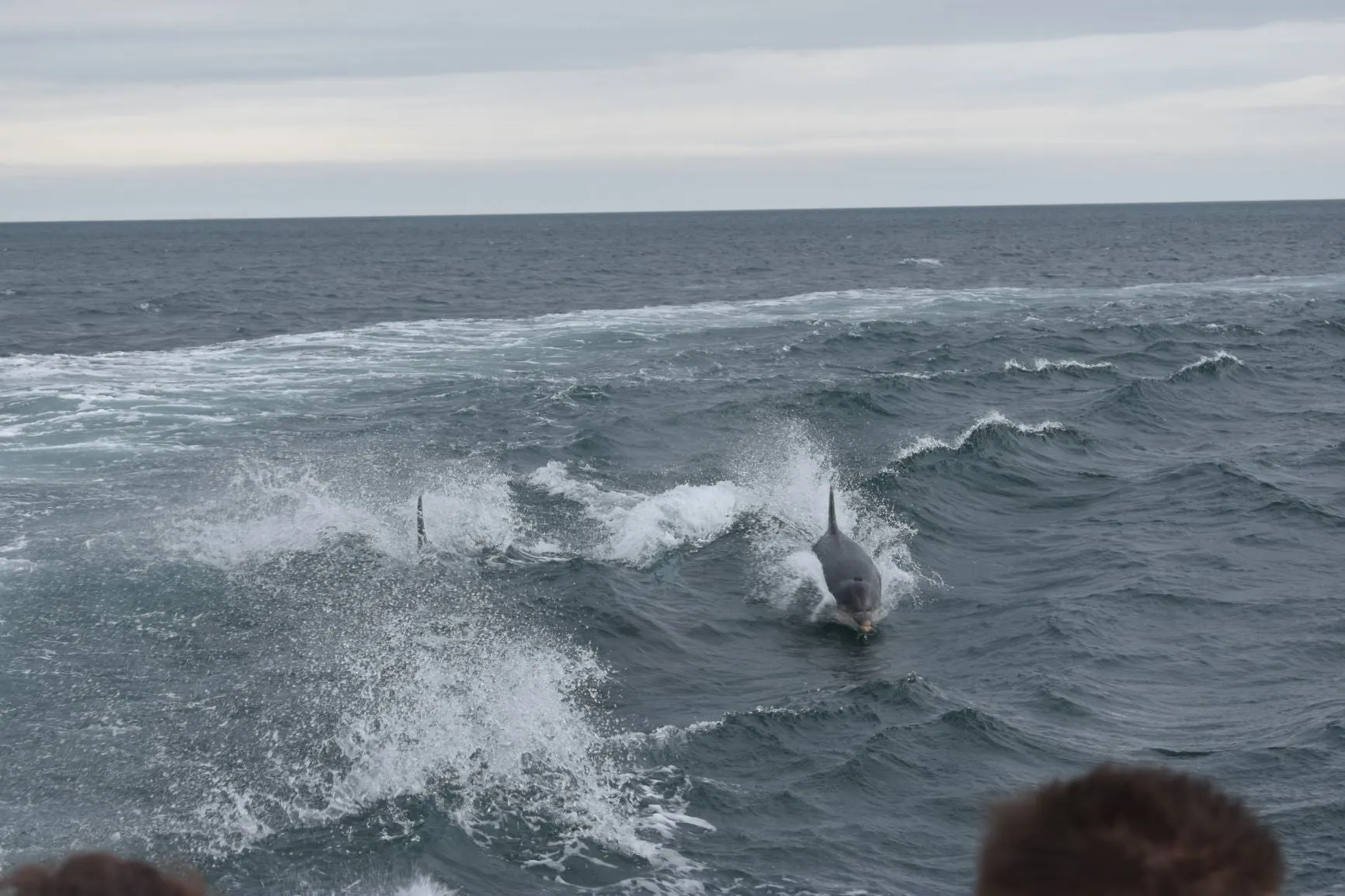 Aquaholics Portstewart Bay Trips