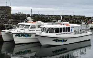 Aquaholics Portstewart Bay Trips