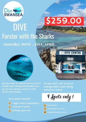 Dive Forster