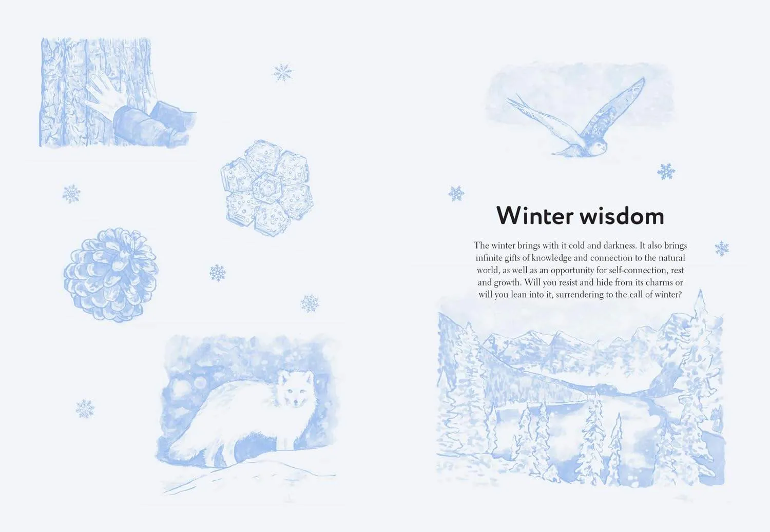 Fifty Things to Do in the Snow