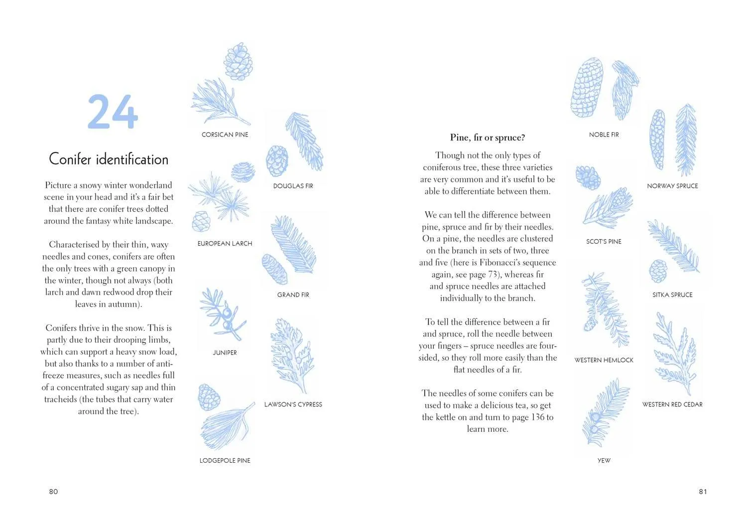 Fifty Things to Do in the Snow