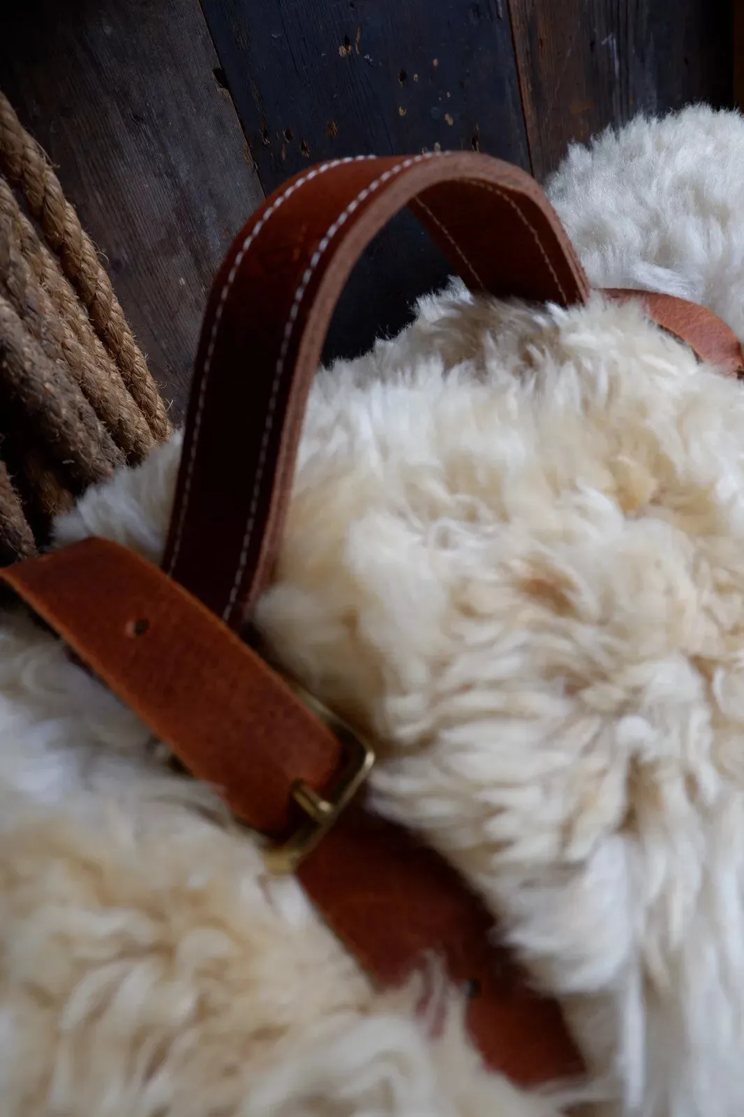 Leather blanket, bedroll & tarp carry straps with handle