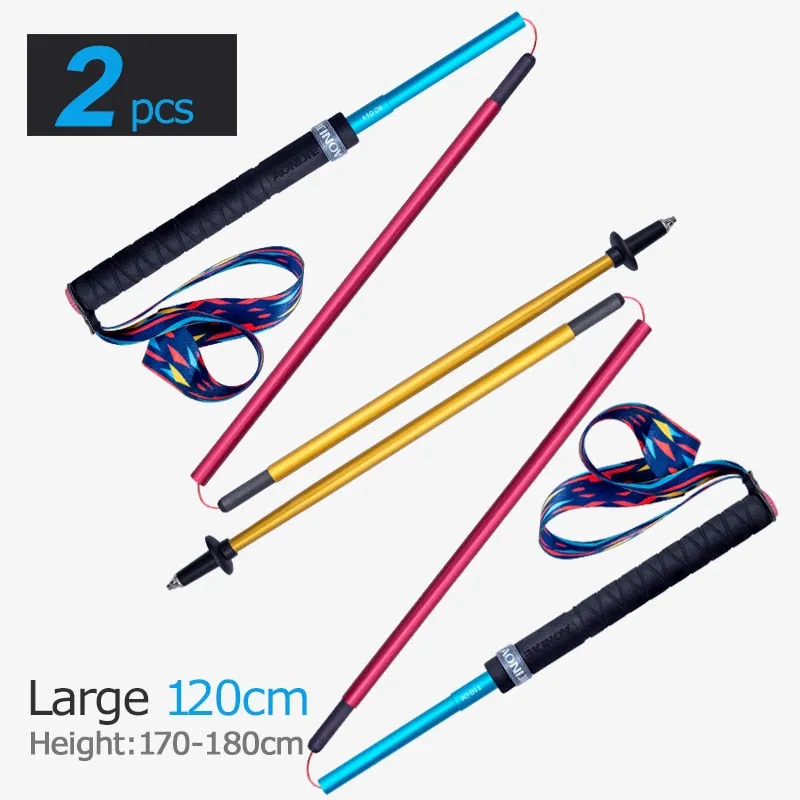 Lightweight Folding Collapsible