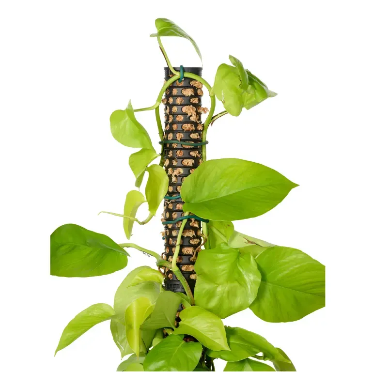 Maze Moss Pole – 5 Pack