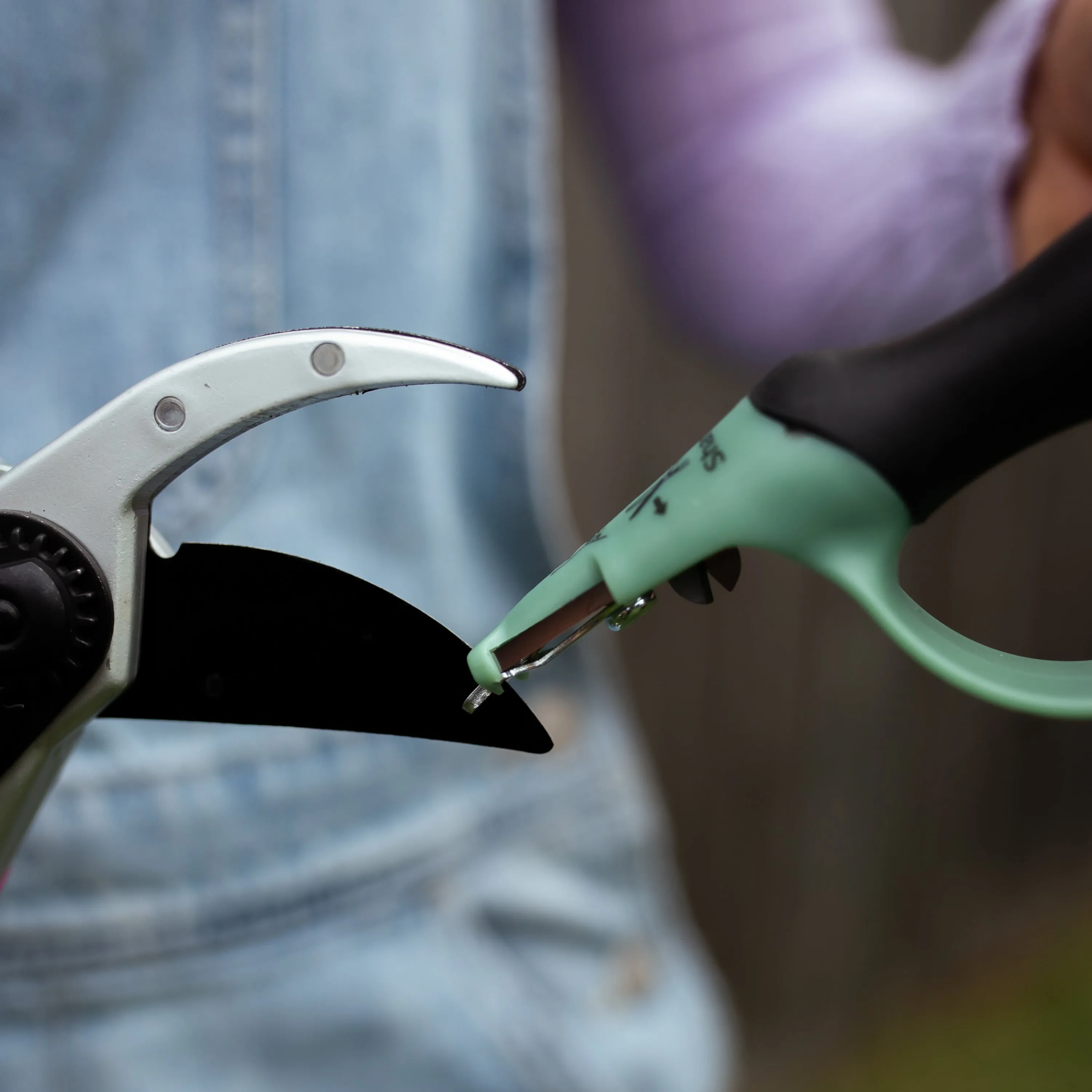 Sharpener