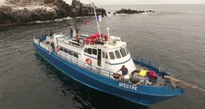 Spectre Dive Day Event