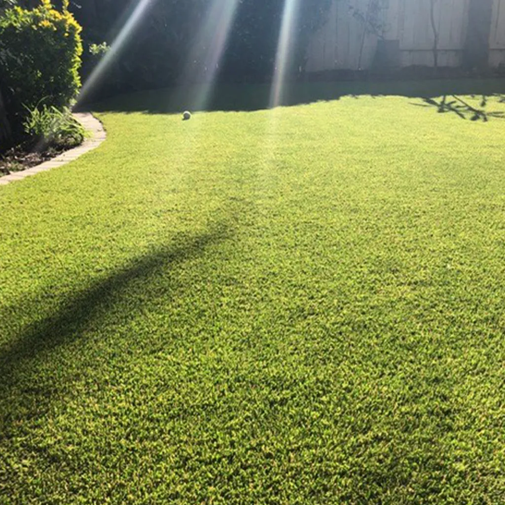 Terra 80 Turf, 15 Ft Wide - Premium Artificial Grass